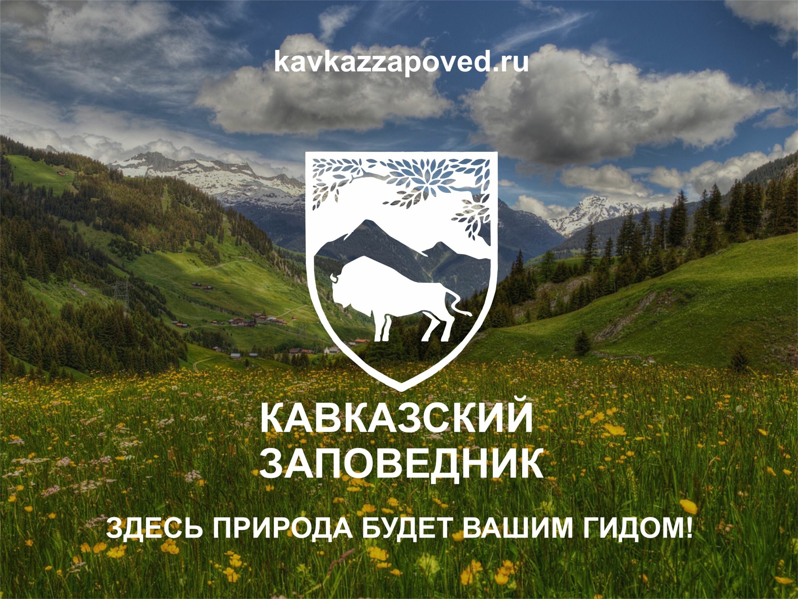 Кавказский биосферный заповедник Южное участковое лесничество